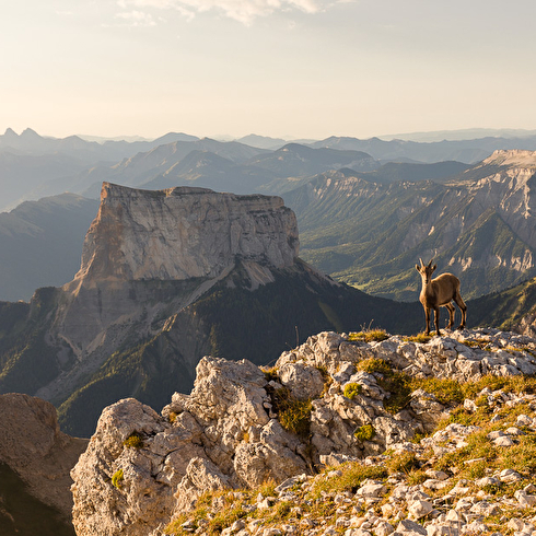 Parc naturel régional du Vercors, Drôme, Isère, Auvergne-Rhô