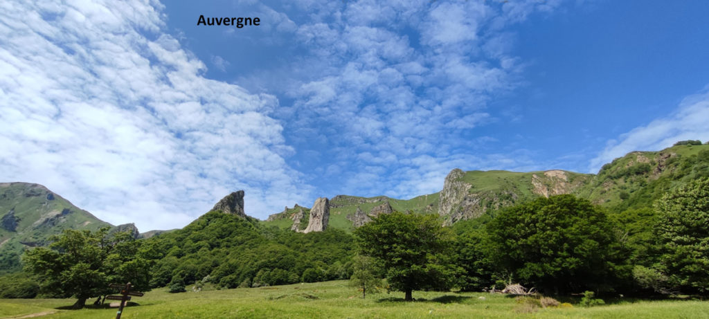 ARAO-Auvergne