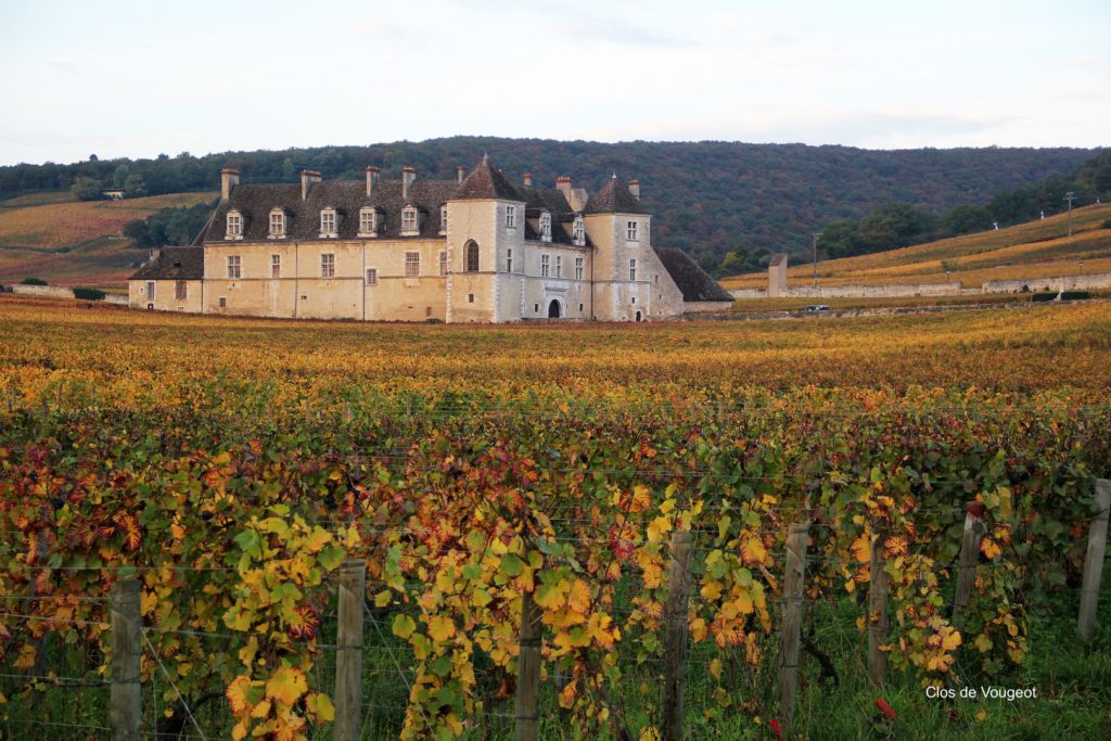 BFC-co clos vougeot (Copier)