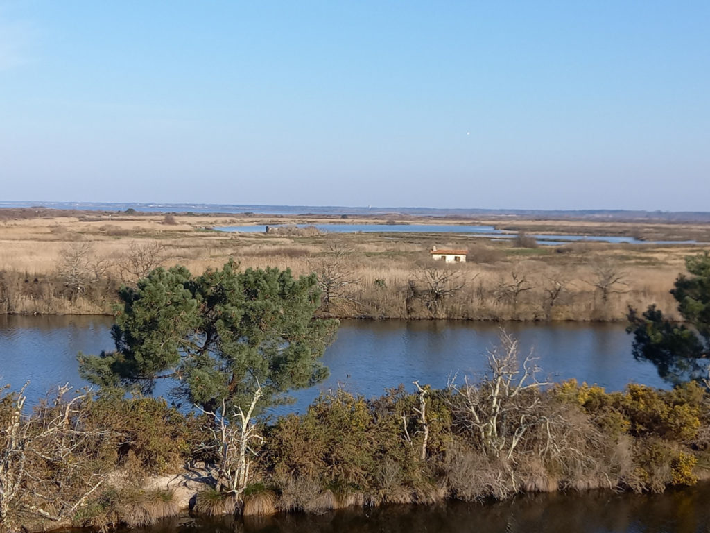 NAS-20230301_095938_BASSIN_ARCACHON_PARC_ORTNITHOLOGIQUE_DU_TEICH
