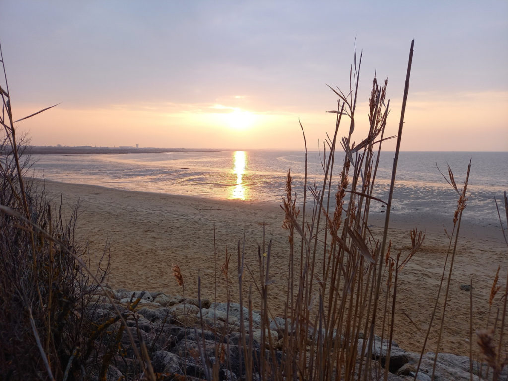 NAS-20230303_182342_BASSIN_D_Arcachon_coucher_de_soleil