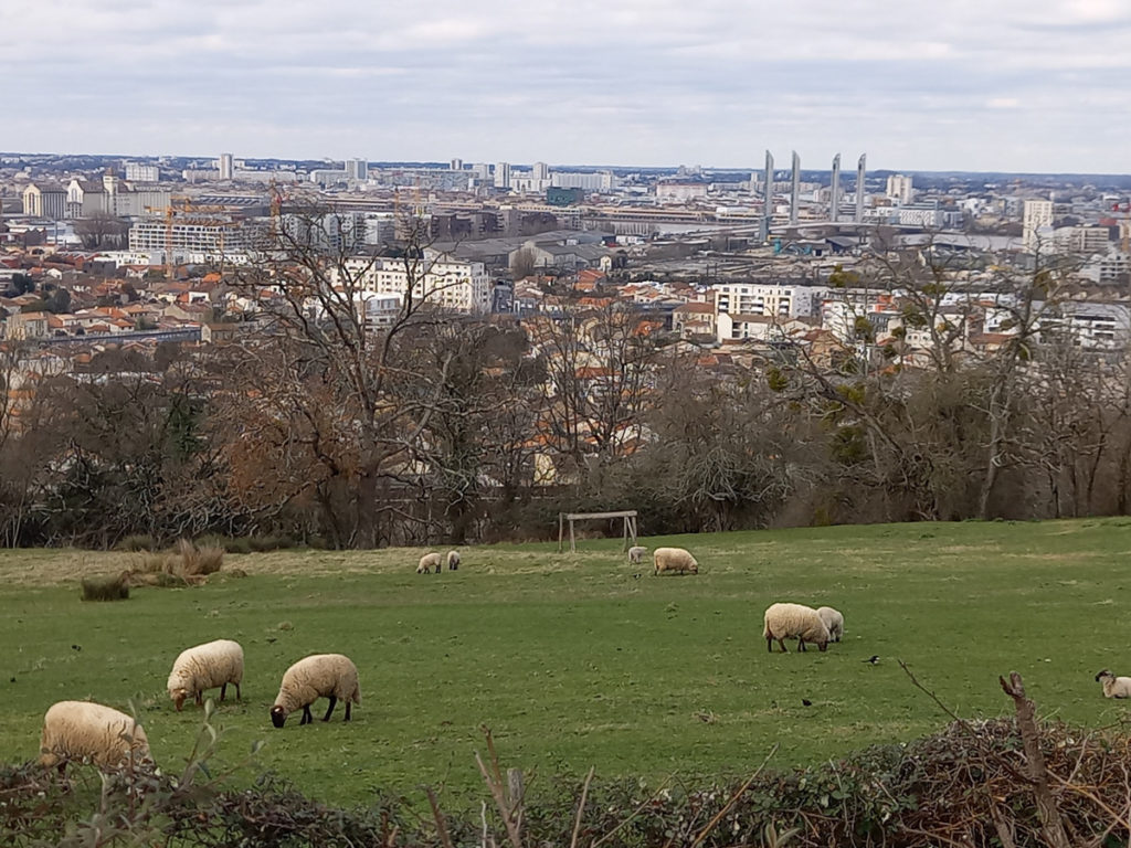 NAS-Bordeaux_PONT_CHABAN_depuis_Rive_Droite