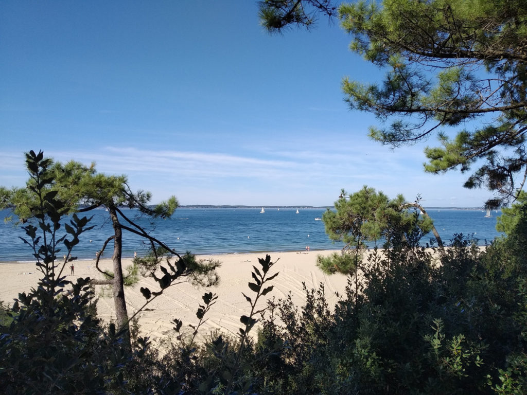 NAS-IMG_20241013_154947_le_bassin_d_Arcachon_parc_Perreire