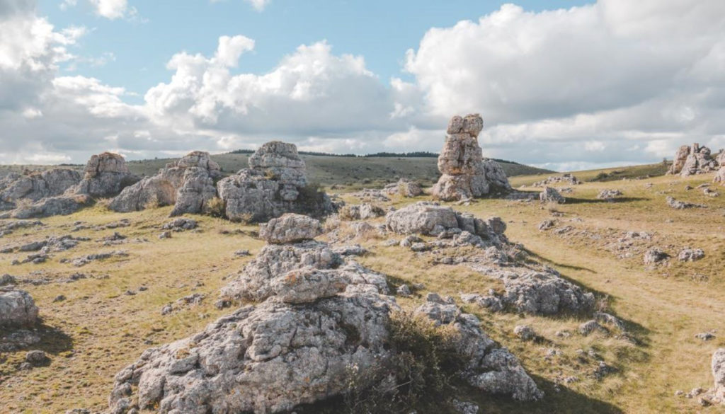 OcE-causse