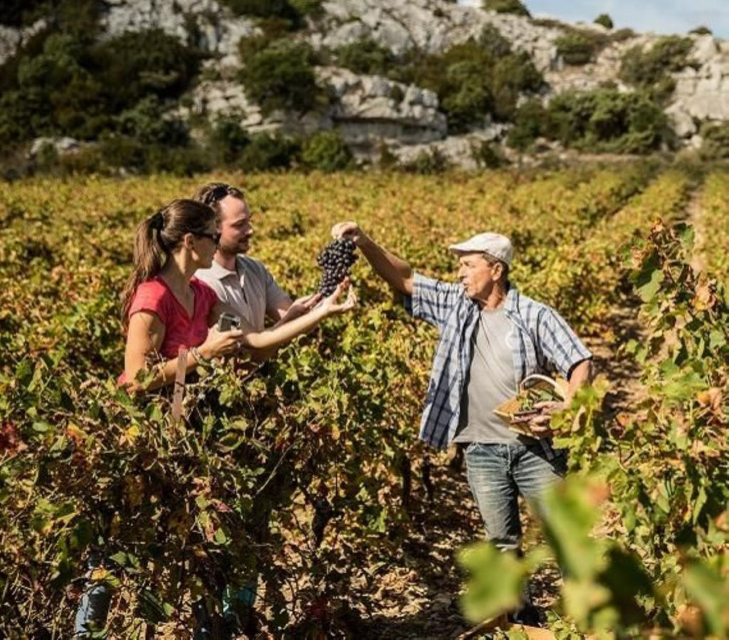 OcE-dans-les-vignes-de-la-clape_grand-narbonne