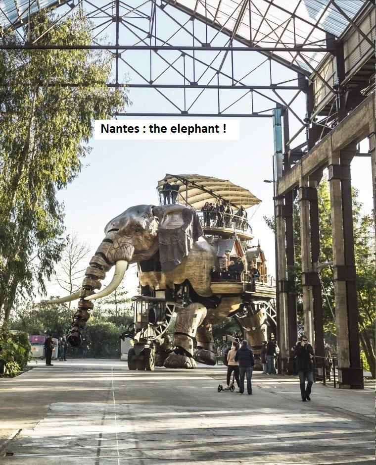 PDL_Nantes_elephant