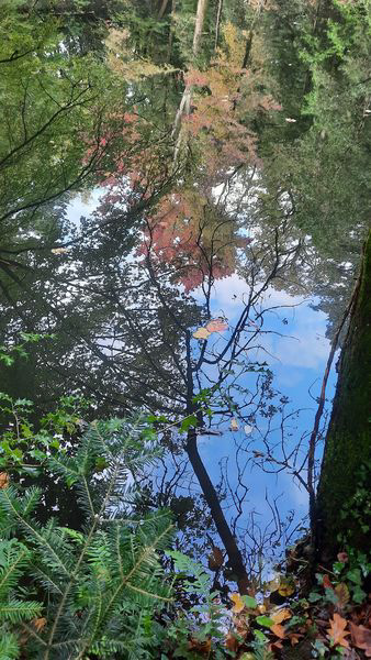 PDL_paysage1