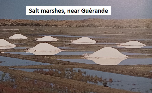 PDL_salt_marshes_near_Nantes