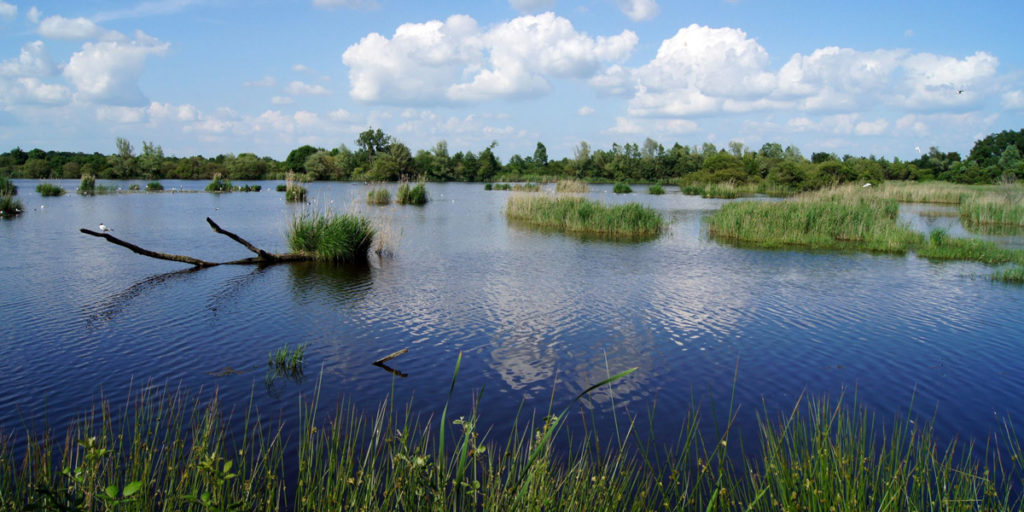 CVDL-pano-brenne-reservedecherine-01-vtreney
